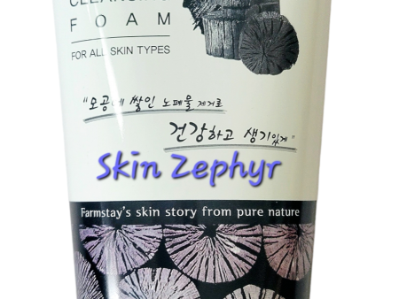 Farmstay Charcoal Pure Cleansing Foam on Sale