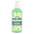 Sapone per le Mani Mayfer Mayfer 500 ml (500 ml) Supply